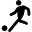 FVVP - Virtual Pro